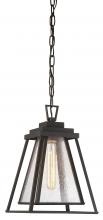  73114-226 - Sleepy Hollow - 1 Light Chain Hung