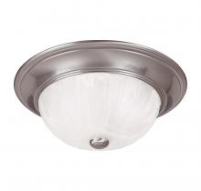  6-11264-11-SN - 2-Light Ceiling Light in Satin Nickel