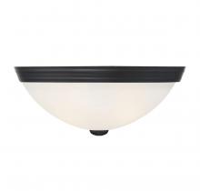  6-780-13-BK - 2-Light Ceiling Light in Matte Black