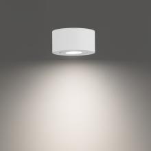  FM-W45205-40-WT - Peek Outdoor Flush Mount Light