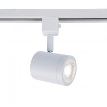  L-8010-30-WT - 8010 Energy Star Track Luminaire