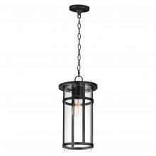  40629CLBK - Clyde Vivex-Outdoor Pendant