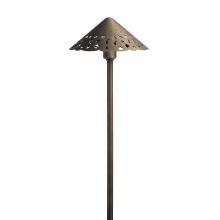  15871CBR30 - Cast Hammered Roof LED