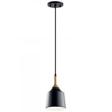  43682BK - Mini Pendant 1Lt