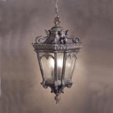  9855BKT - Outdoor Pendant 3Lt