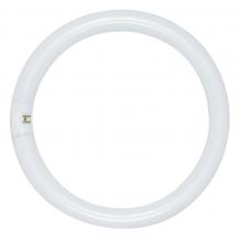  S6505 - 32 Watt; T9; Circline Fluorescent; 3000K Warm White; 52 CRI; 4-Pin base