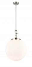  206-PN-G201-16 - Beacon - 1 Light - 12 inch - Polished Nickel - Stem Hung - Mini Pendant