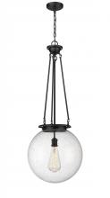  221-1P-BK-G204-16 - Beacon - 1 Light - 16 inch - Matte Black - Chain Hung - Pendant