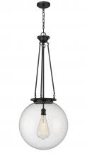  221-1P-BK-G204-18 - Beacon - 1 Light - 18 inch - Matte Black - Chain Hung - Pendant