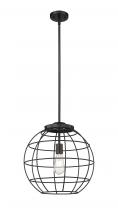  221-1S-BK-CE-16-BK - Lake Placid - 1 Light - 16 inch - Matte Black - Pendant