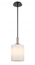  442-1S-BK-W - Paladin - 1 Light - 7 inch - Matte Black - stem hung - Mini Pendant