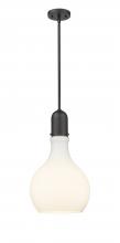  492-1S-BK-G581-12 - Amherst - 1 Light - 12 inch - Matte Black - Stem hung - Mini Pendant