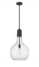  492-1S-BK-G584-14 - Amherst - 1 Light - 14 inch - Matte Black - Stem hung - Pendant