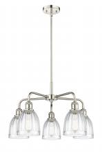  516-5CR-PN-G442 - Brookfield - 5 Light - 24 inch - Polished Nickel - Chandelier