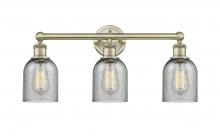  616-3W-AB-G257 - Caledonia - 3 Light - 23 inch - Antique Brass - Bath Vanity Light