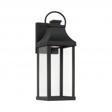  946411BK-GL - 1 Light Outdoor Wall Lantern