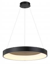  P5555-66A-L - Conc - 24" LED Pendant