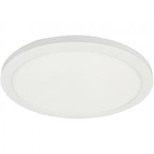  FCA-1630LEDFH-MW - 30W Flush Mount, MW